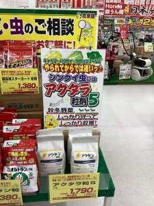秋野菜の害虫対策にはアクタラ粒剤オススメです！