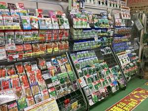秋まき種子のご紹介‼️🌱