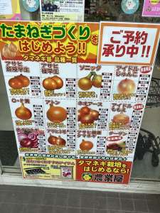 玉ねぎ苗予約受付中