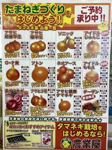 玉ねぎ苗　予約受付中‼️