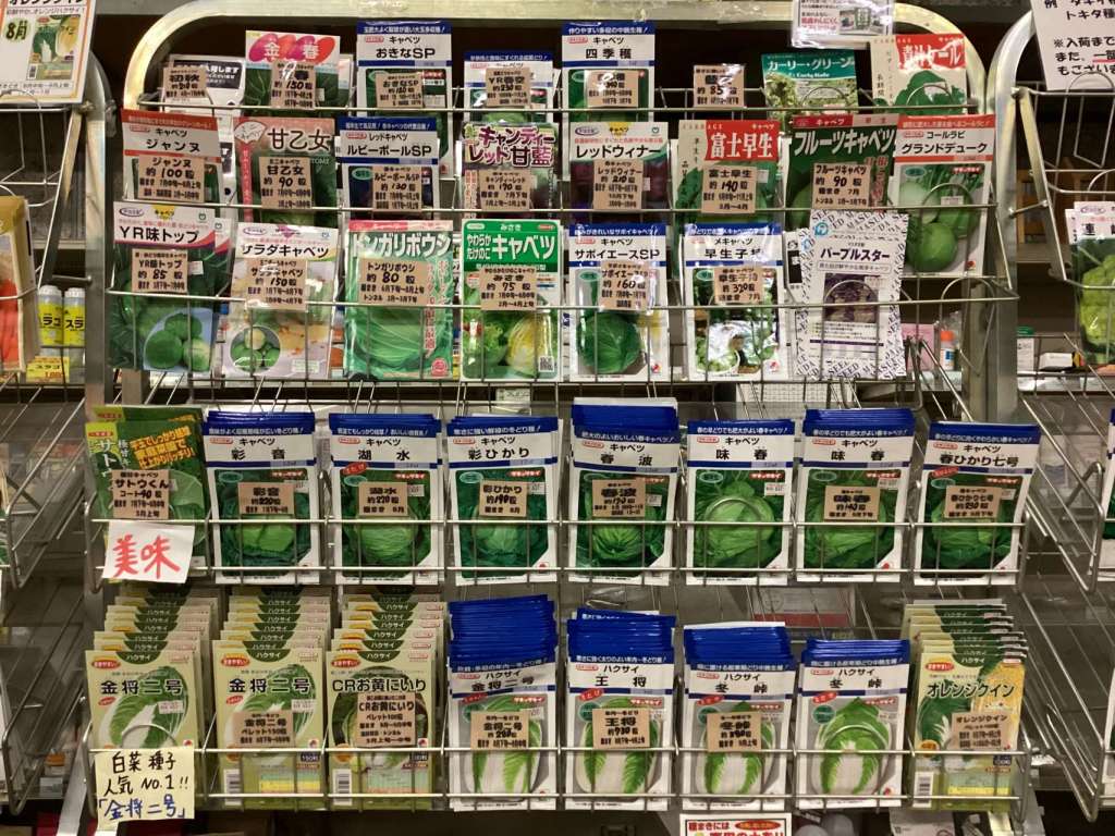 秋まき野菜種入荷中！