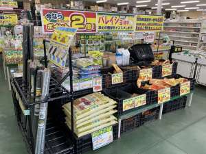 秋バレイショ、健康野菜入荷中‼️