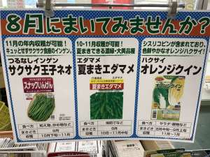 秋まき種子のご紹介‼️
