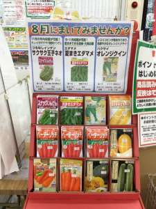 今が撒きどきオススメの種子❣️