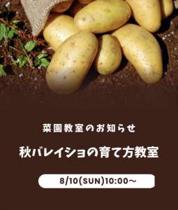 8/10(日)菜園教室のお知らせ🥔