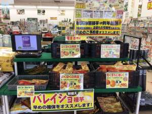 秋馬鈴薯🥔入荷しました〜🍟