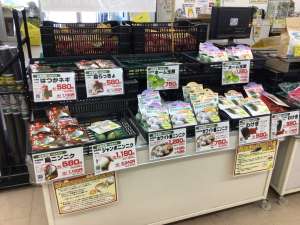 ニンニク🧄玉ねぎ🧅入ってきましたよ〜👩‍🌾
