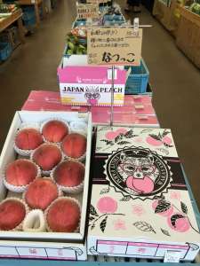 和歌山県より桃が入荷してます！