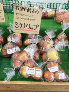 長野県よりりんごが入荷してきました！