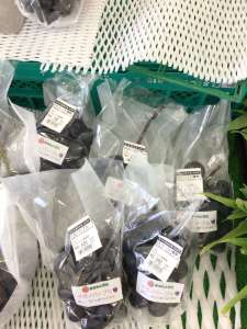長野県よりナガノパープルが入荷してきました！
