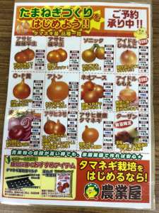 玉ねぎ苗予約受付中！