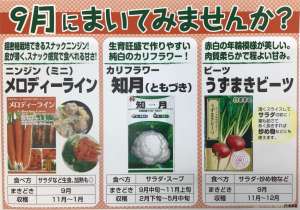 9月まき種子のご案内
