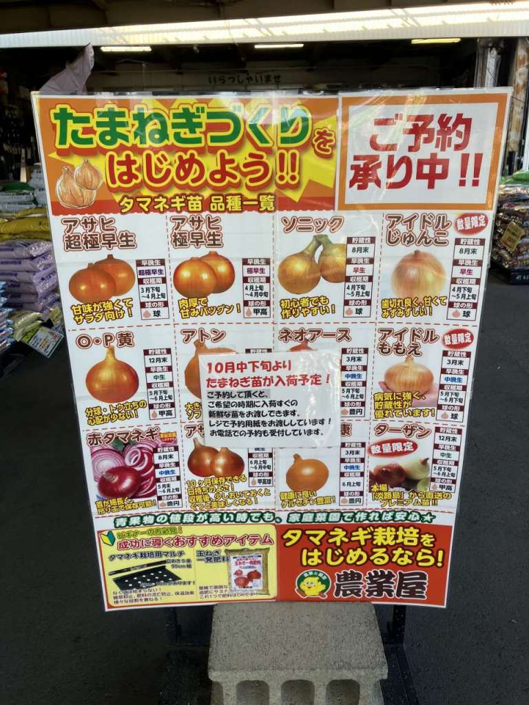 玉ねぎ苗のご予約始まりました！