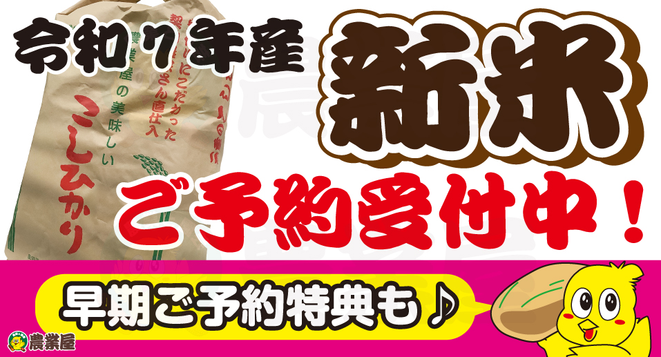 【各店100袋限定】令和7年産新米のご予約受付中！！早期ご予約特典も♪