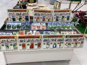 秋種子入荷中です！
