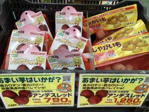 アンデスレッドが入荷しました！