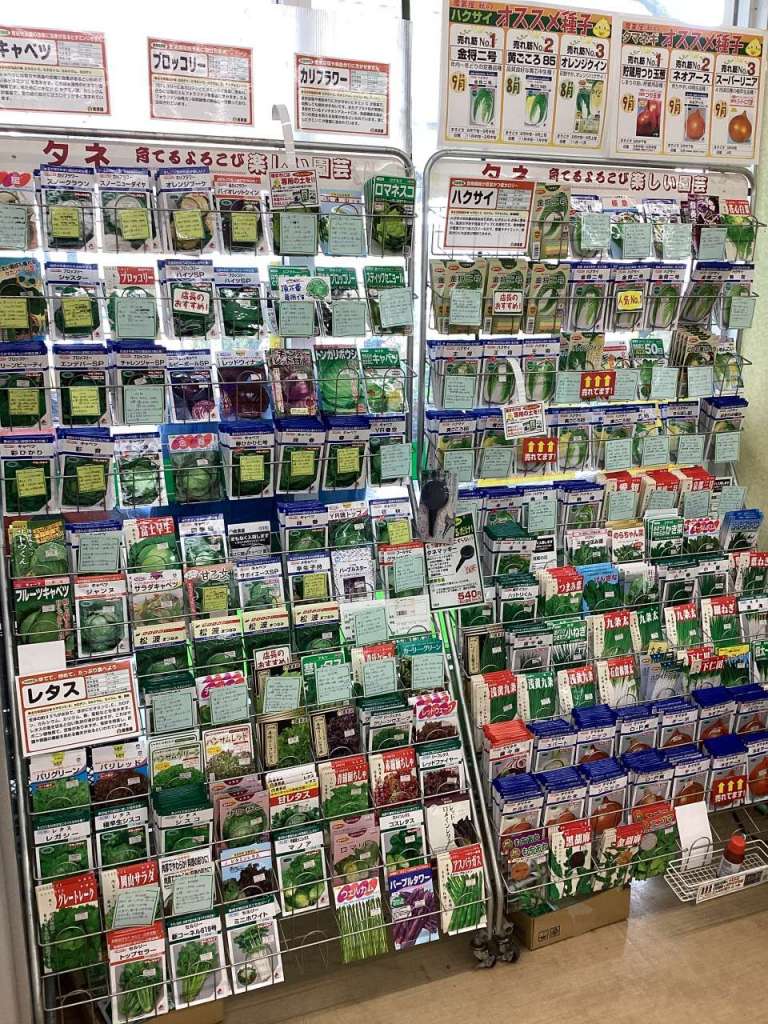 野菜が高いなら自分で作ればいいじゃない