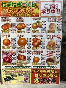 玉ねぎ予約始まりました