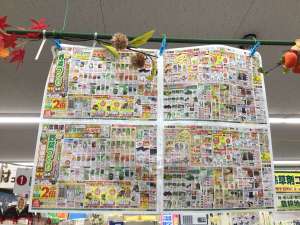 美味しい梨の入荷とセール開催‼️