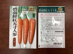 🥕碧南鮮紅五寸人参がまきどきです！