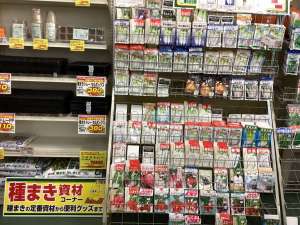 たね　入荷してます‼️