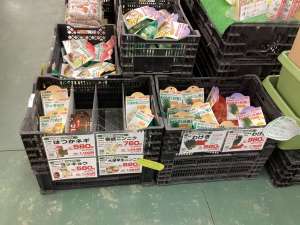 秋植えのじゃがいも入荷中‼️