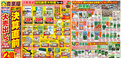 決算直前大売り出し！！秋の野菜種・野菜苗大量入荷！！