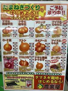 タマネギ苗予約受付中！
