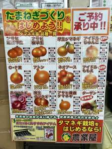 タマネギ苗ご予約受付中！