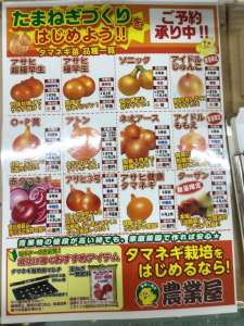 玉ねぎ苗予約受付中！！