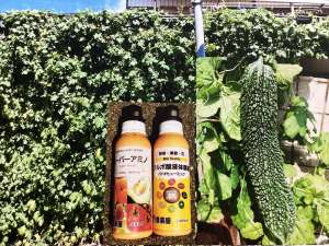 上手に育てました。