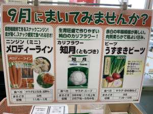 農業屋オススメの秋まき種