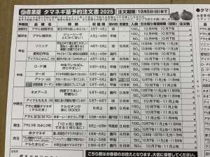 タマネギ苗　予約承り受付中‼️