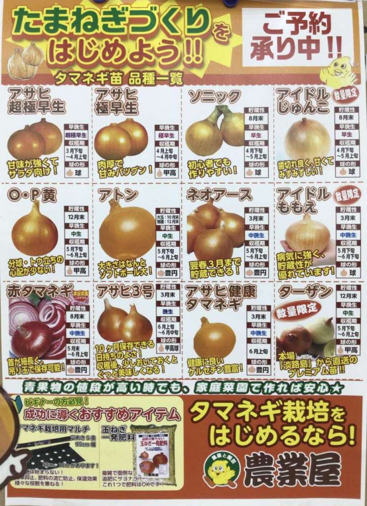 ❕🧅タマネギ苗ご予約受付中🧅❕