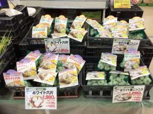 ニンニク種子が入荷中！