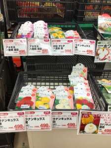 💐球根🧄入荷しております✨