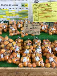 愛知県から筆柿が入荷してきました！