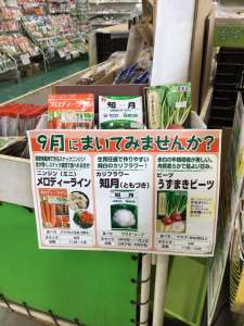 9月にまけるオススメ品集