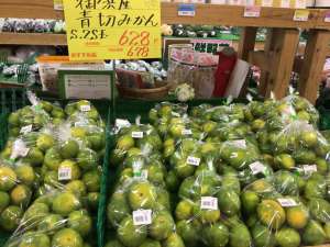 旬のくだもの‼️