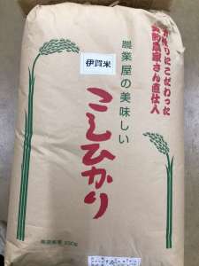 新米🌾伊賀のコシヒカリ🌾入荷してます！