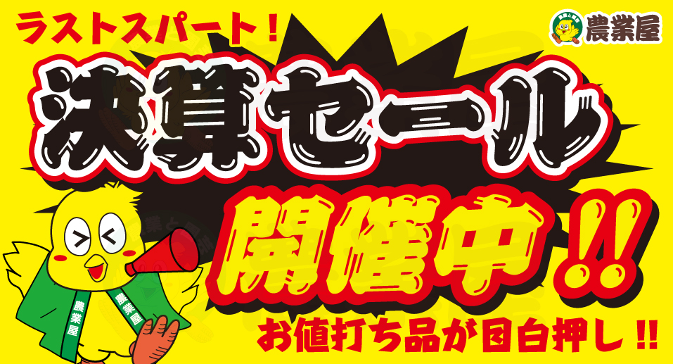 決算セール開催中です！！