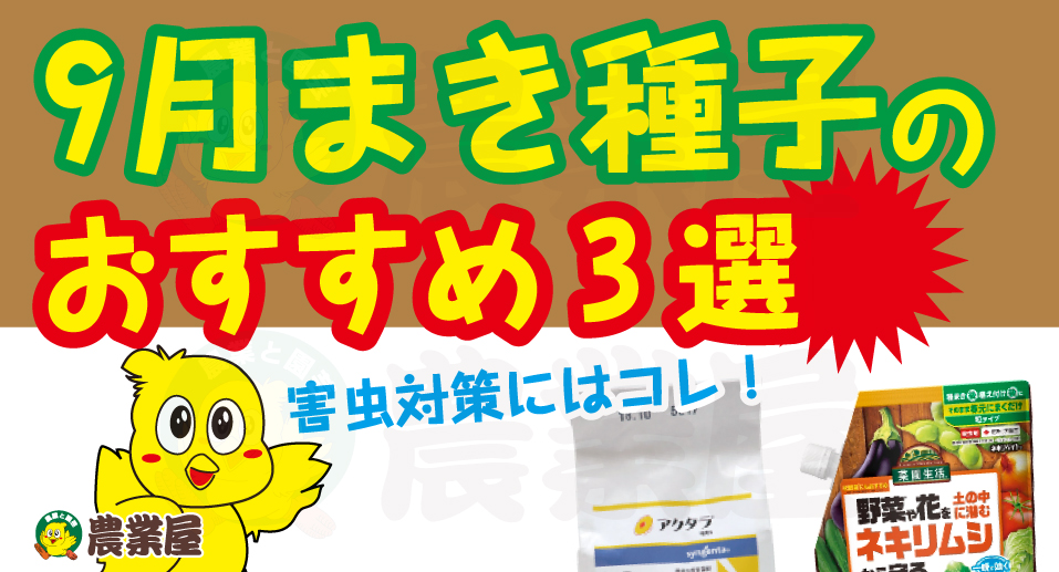 9月まき種子おすすめ3選！害虫対策にはこれがオススメ！