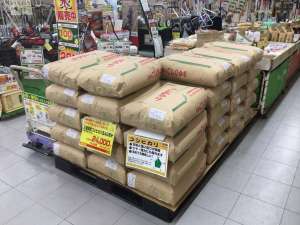 新米入荷しました‼️