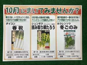 10月のオススメ種🌱
