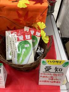 垂井店おすすめ種子をご紹介‼️