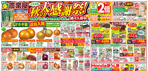 秋の大感謝祭！秋野菜苗など続々入荷！タマネギ苗ご予約承り中！