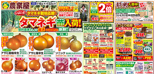 新鮮タマネギ苗入荷！！土づくり応援！！培養土・肥料など