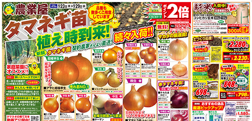 タマネギ苗植え時到来！！タマネギづくり商品厳選セール！！