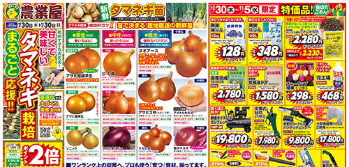 甘くて美味しいタマネギ栽培まるごと応援！！期間限定特価品など