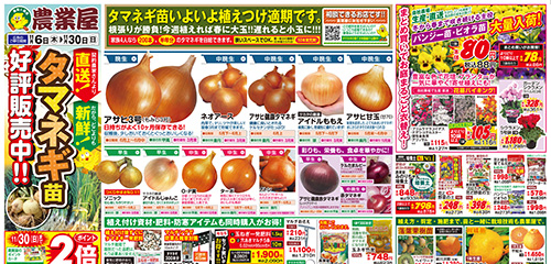 タマネギ苗好評販売中！！植え付け資材・肥料・防寒アイテムも同時購入がお得！！パンジー、落葉果樹苗など